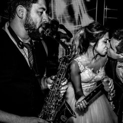 pedro_wolf_18 pedro_wolf_18
